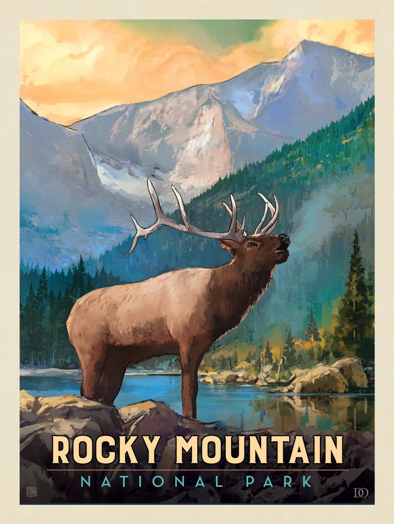 Rocky Mountain National Park: Bull Elk - Art Print - Artwork