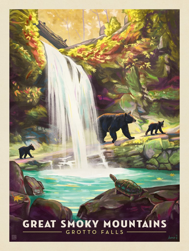 Great Smoky Mountains National Park: Grotto Falls - Postcards - Artwork