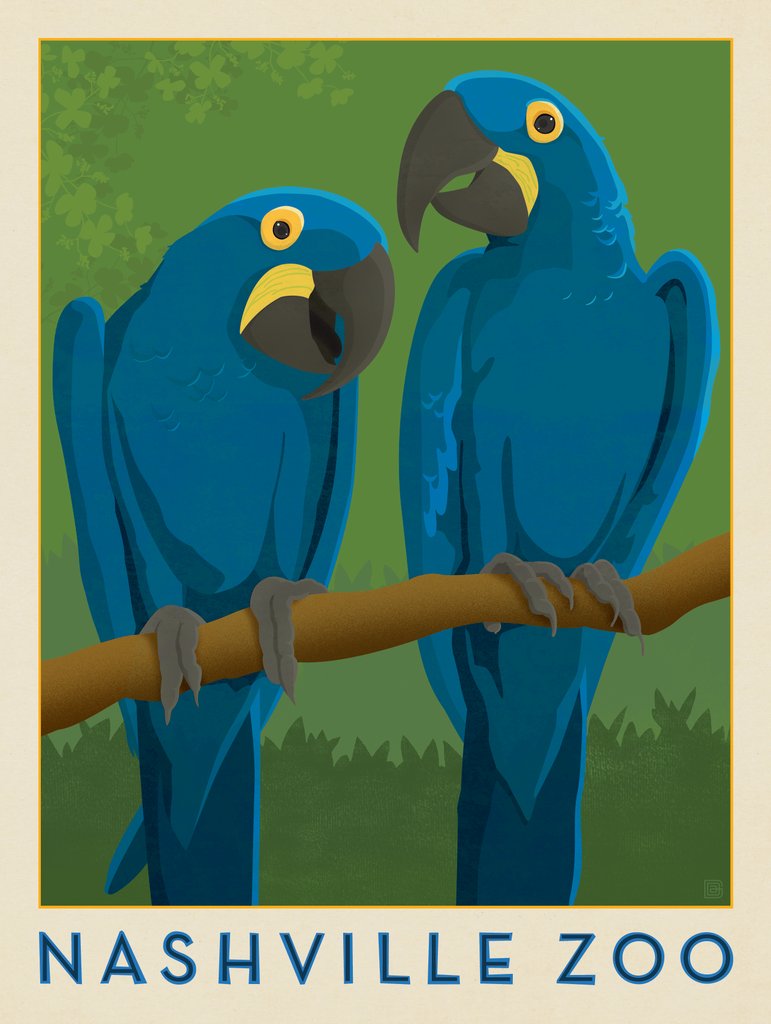 Nashville Zoo (Macaws) - Metal Sign - Artwork