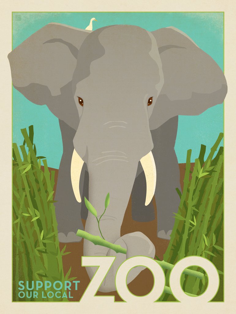 Zoo: Elephant - Postcards - Artwork
