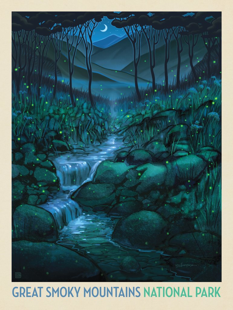 Great Smoky Mountains National Park: Firefly Magic - Art Print - Artwork