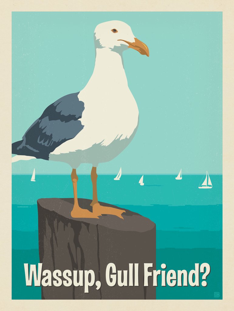 Wassup, Gull Friend? - Postcards - Artwork