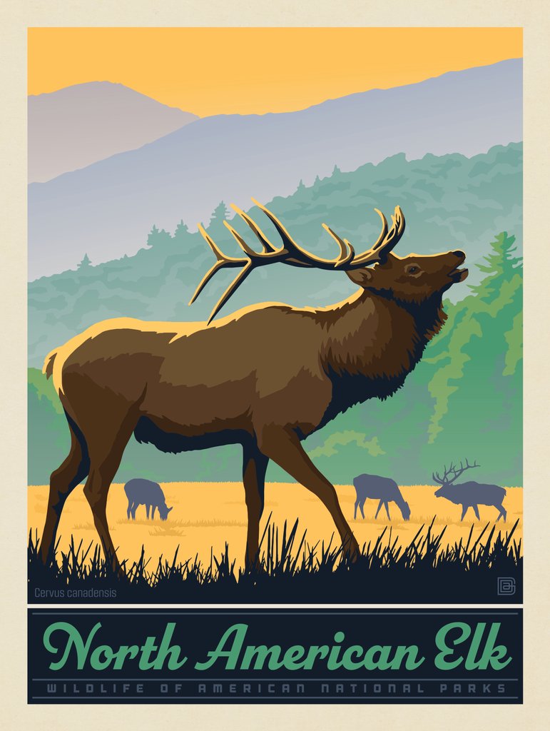 National Parks Wildlife: Elk - Canvas - Artwork