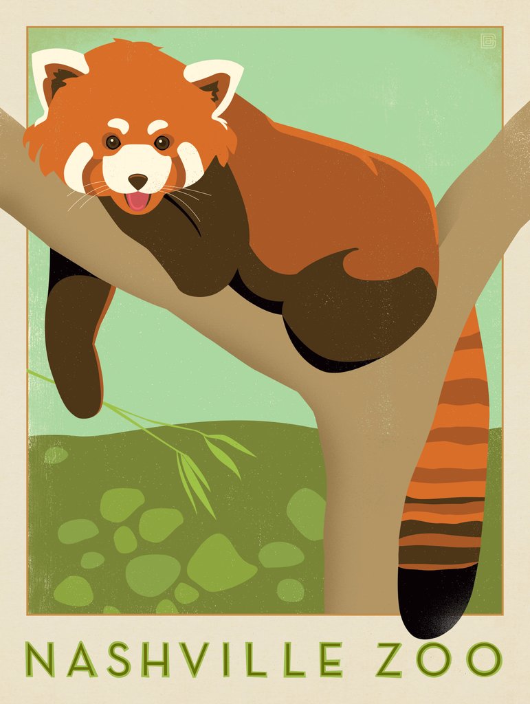 Nashville Zoo Red Panda - Canvas - Artwork