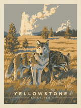 Yellowstone National Park: Wandering Wolves - Canvas - Artwork