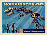 Washington, DC: Museum of Natural History - Art Print - Artwork