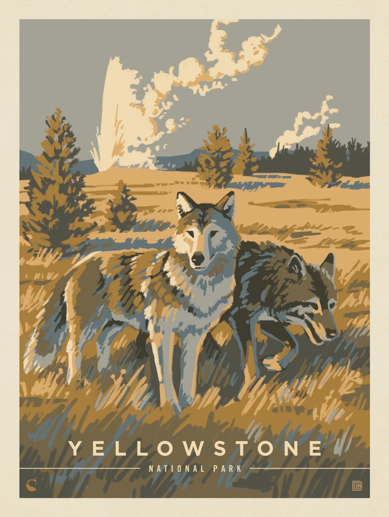 Yellowstone National Park: Wandering Wolves - Notecards - Artwork