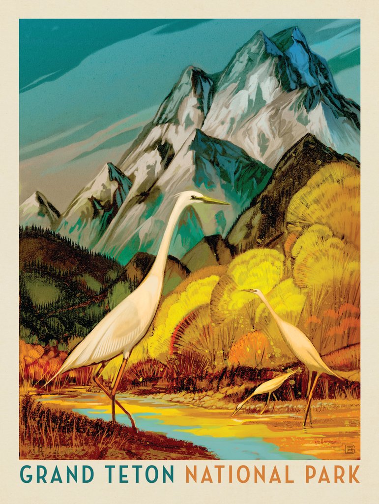 Grand Teton National Park: Autumn Glory - Postcards - Artwork