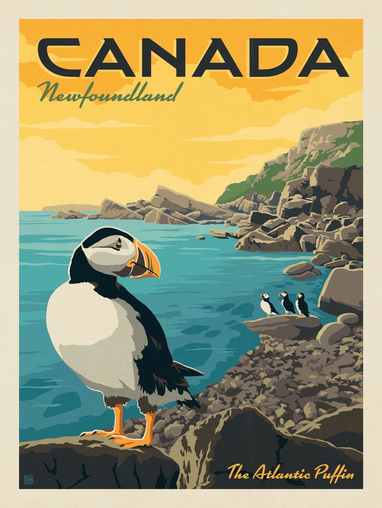 Canada: Newfoundland Puffins - Postcards - Artwork