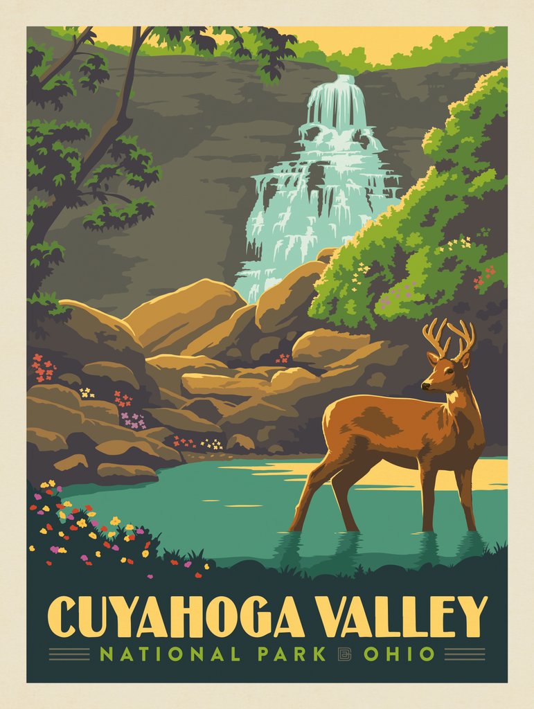 Cuyahoga Valley National Park: Wildflowers - Postcards - Artwork