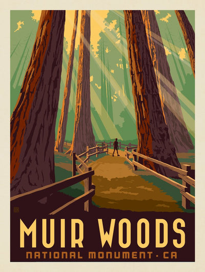 Muir Woods National Monument, California - Canvas