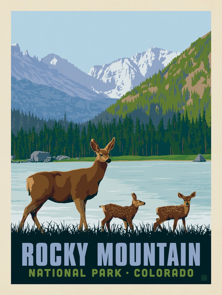 Rocky Mountain National Park: Deer Family - Canvas - Artwork