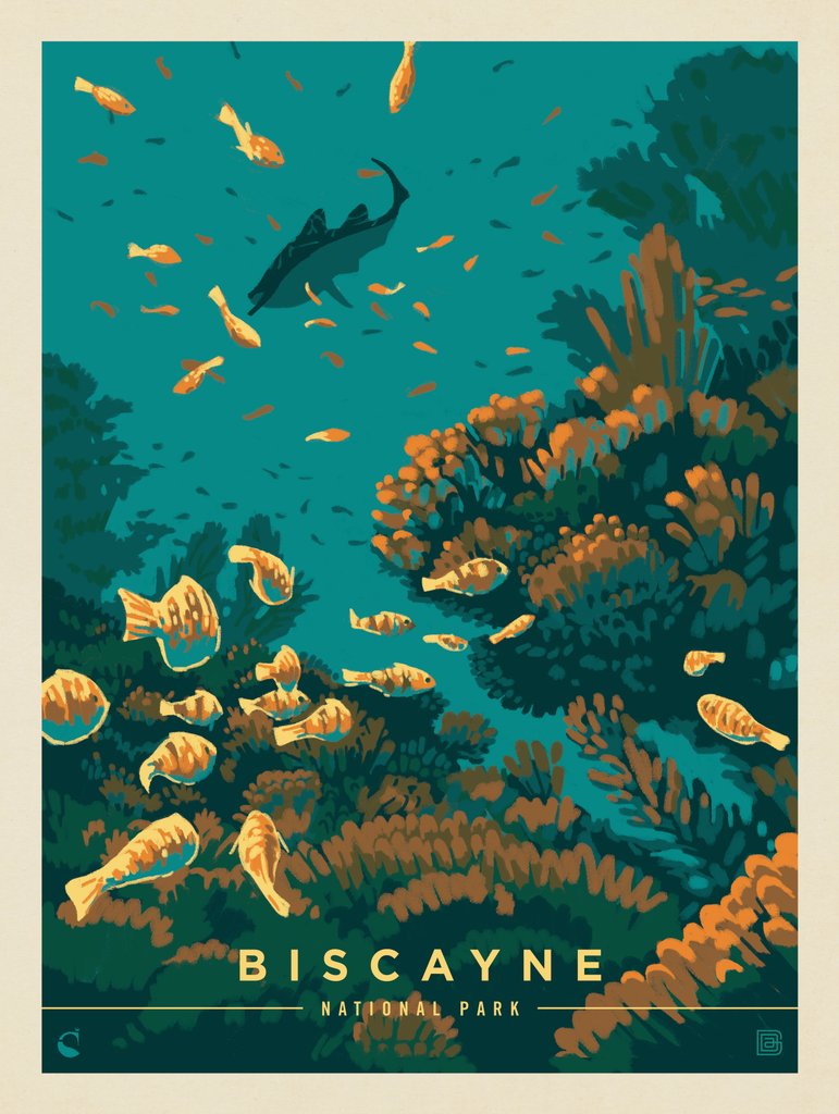 Biscayne National Park: Wonders Down Under - Canvas - Artwork