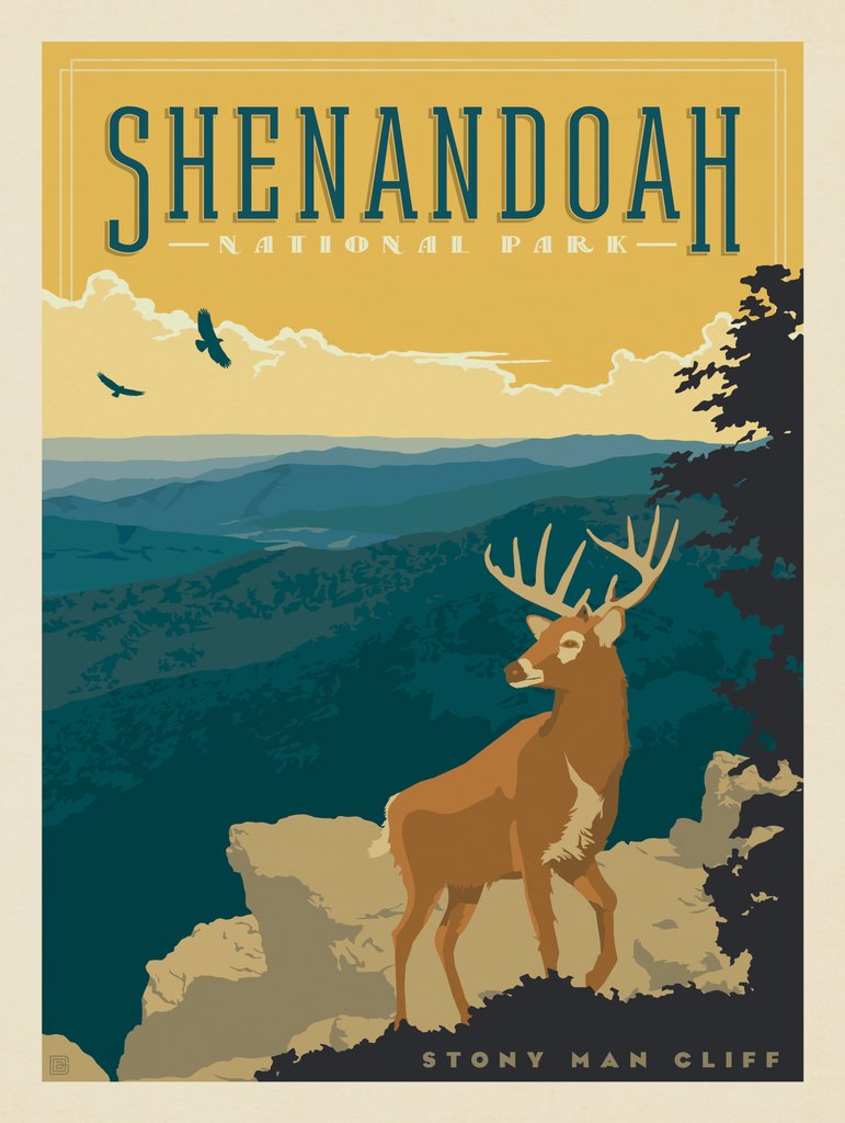 Shenandoah National Park: Deer - Canvas - Artwork