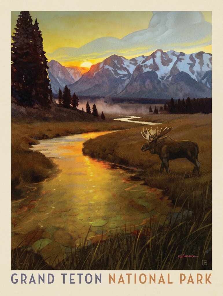 Grand Teton National Park: Lone Moose - Canvas - Artwork