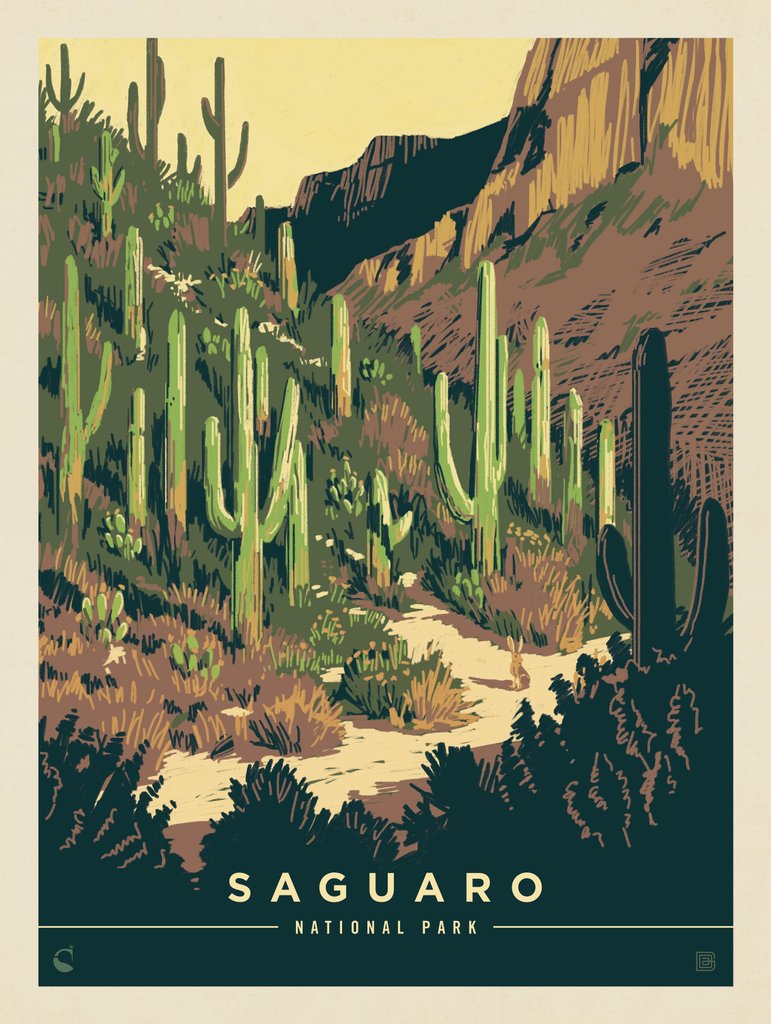 Saguaro National Park: Desert Delight - Postcards - Artwork
