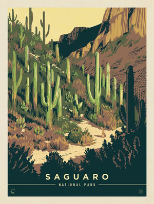 Saguaro National Park: Desert Delight