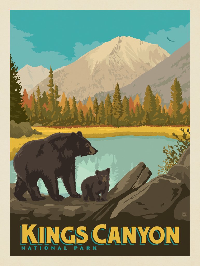Kings Canyon National Park: Bears - Art Print - Artwork
