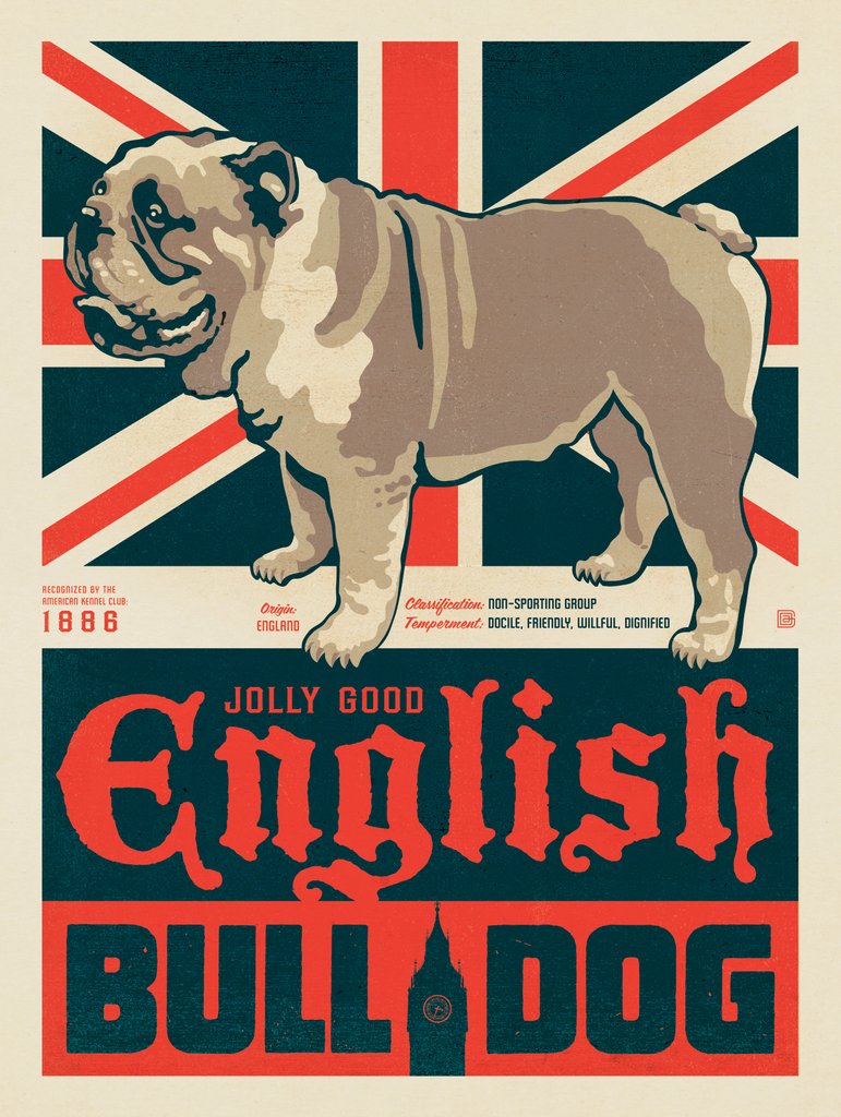 English Bulldog - Art Print - Artwork