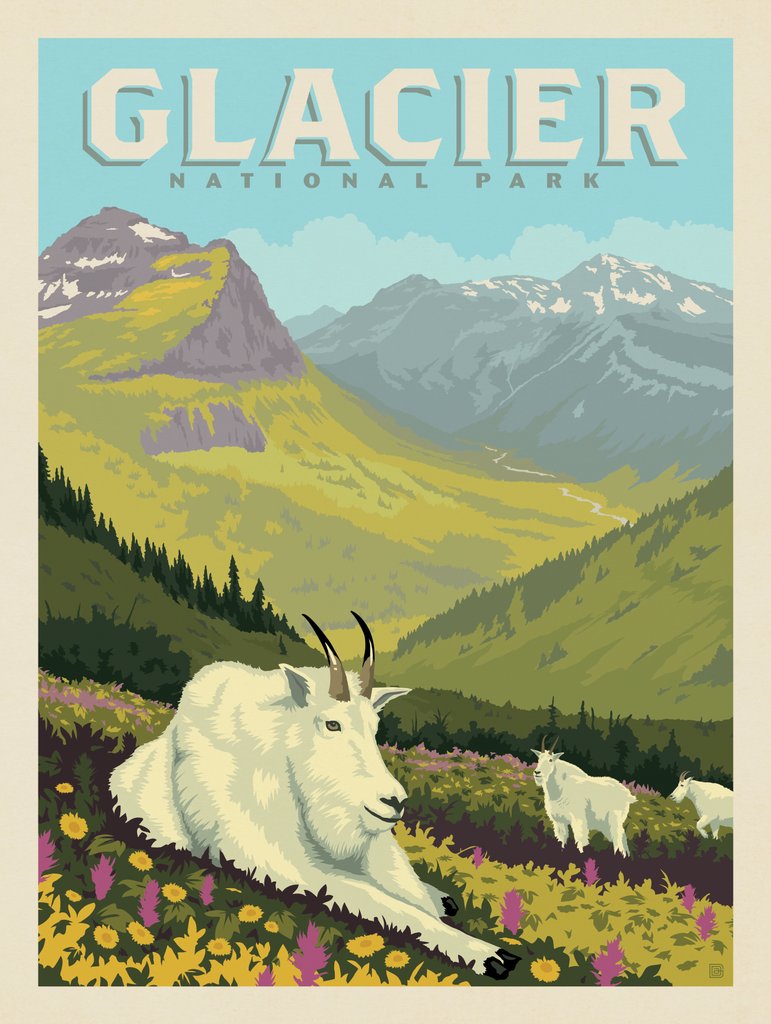 Glacier National Park: Goats In The Valley - Canvas - Artwork