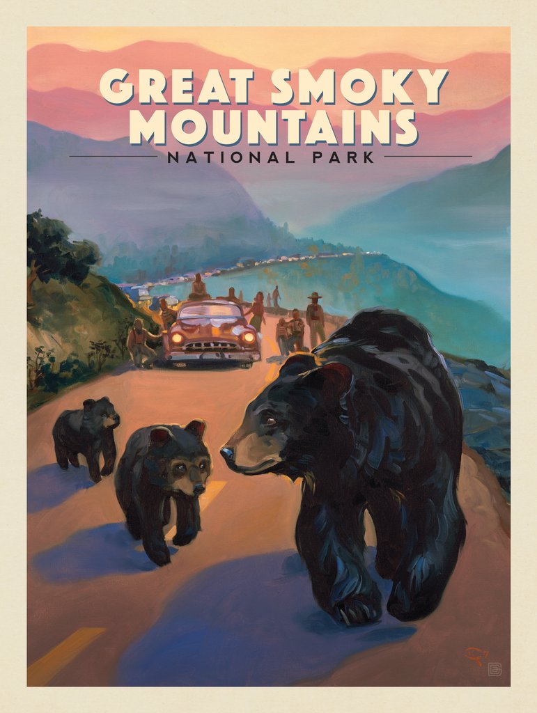 Great Smoky Mountains National Park: Bear Jam-KC - Notecards - Artwork