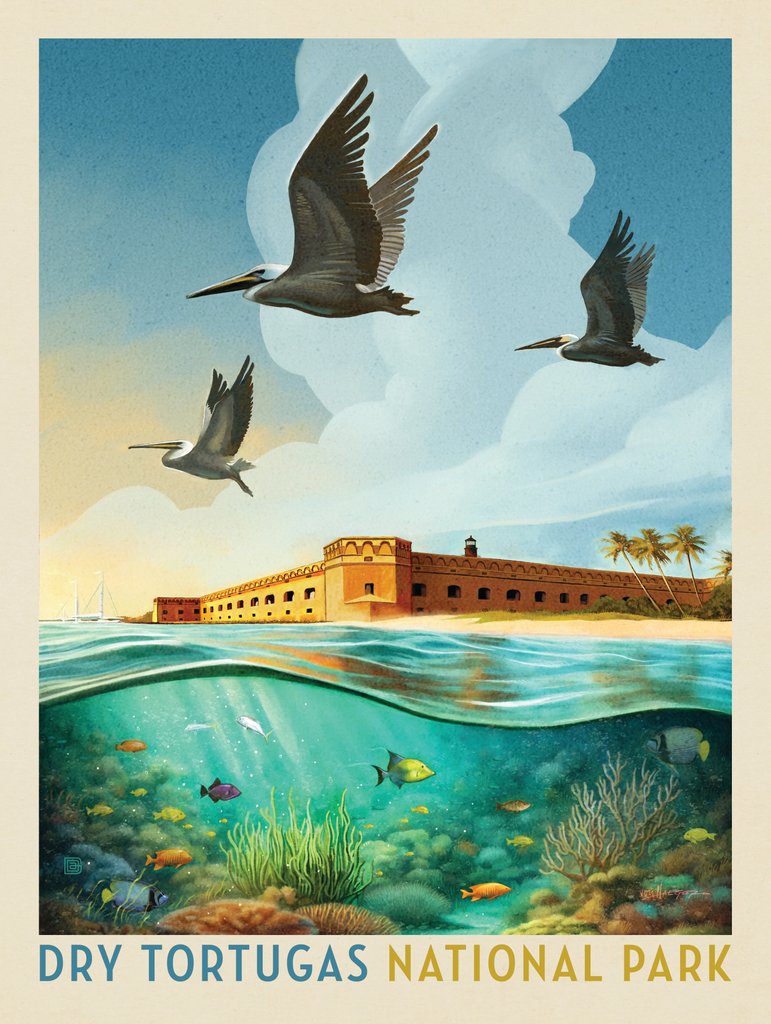 Dry Tortugas National Park: Reef View - Notecards - Artwork
