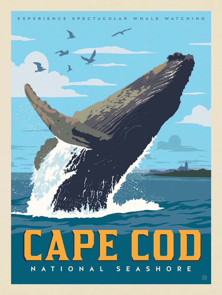 Cape Cod National Seashore - Notecards - Artwork