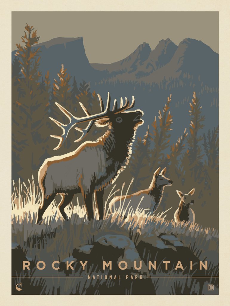 Rocky Mountain National Park: Elk Herd - Metal Sign - Artwork