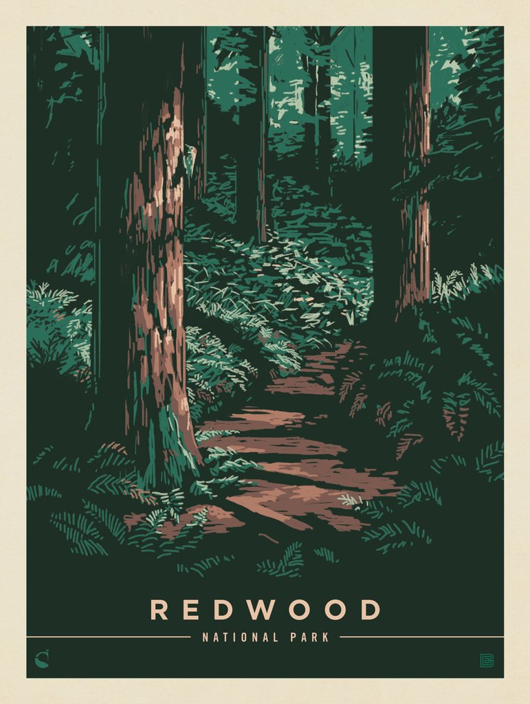 Redwood National Park: Splendor - Postcards - Artwork