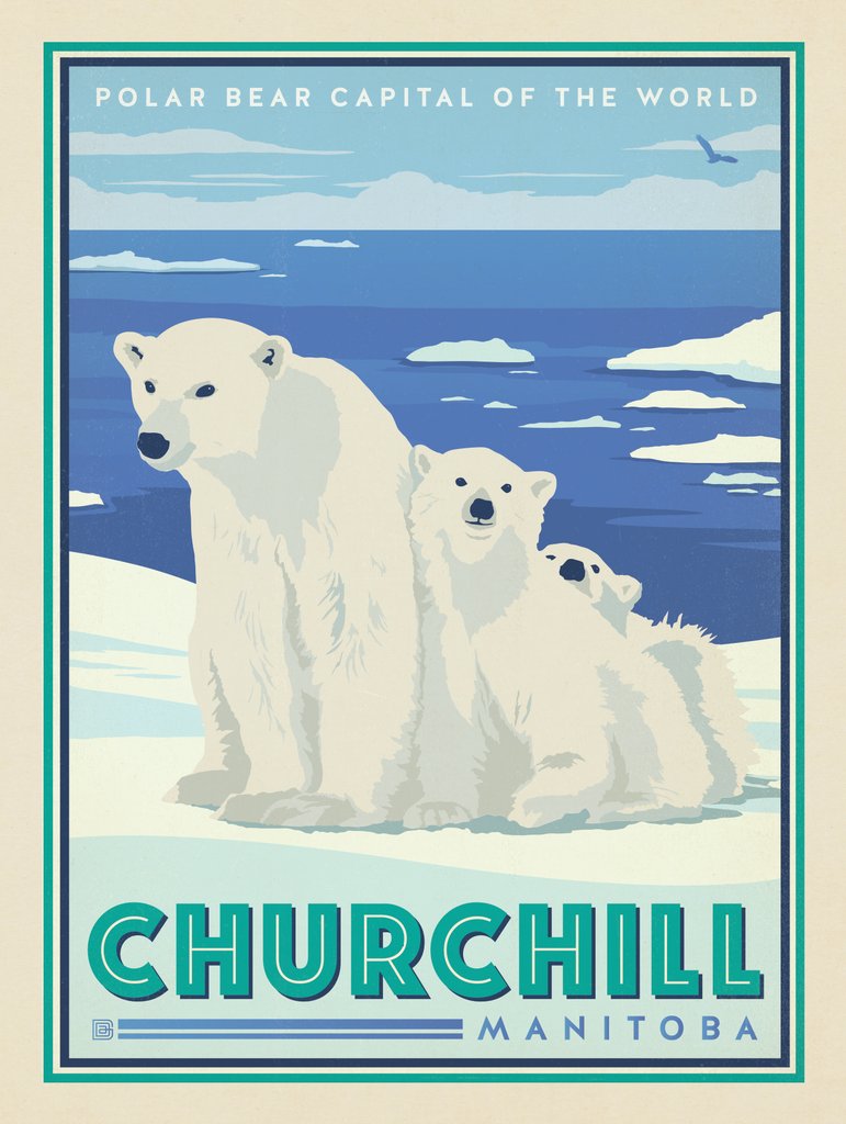 Canada: Churchill Manitoba Polar Bears - Postcards - Artwork