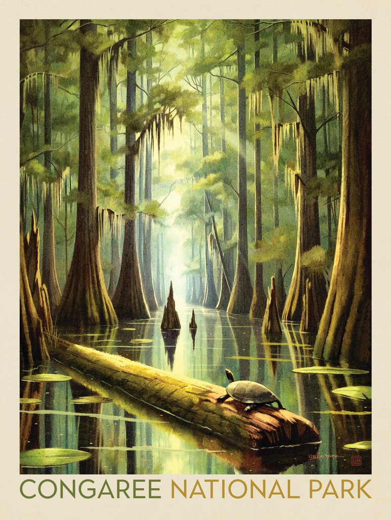Congaree National Park: Turtle Time - Notecards - Artwork