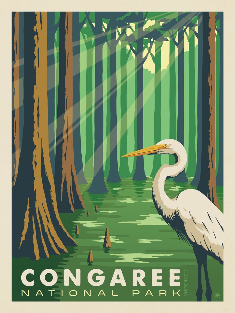 Congaree National Park: Great Egret - Metal Sign - Artwork
