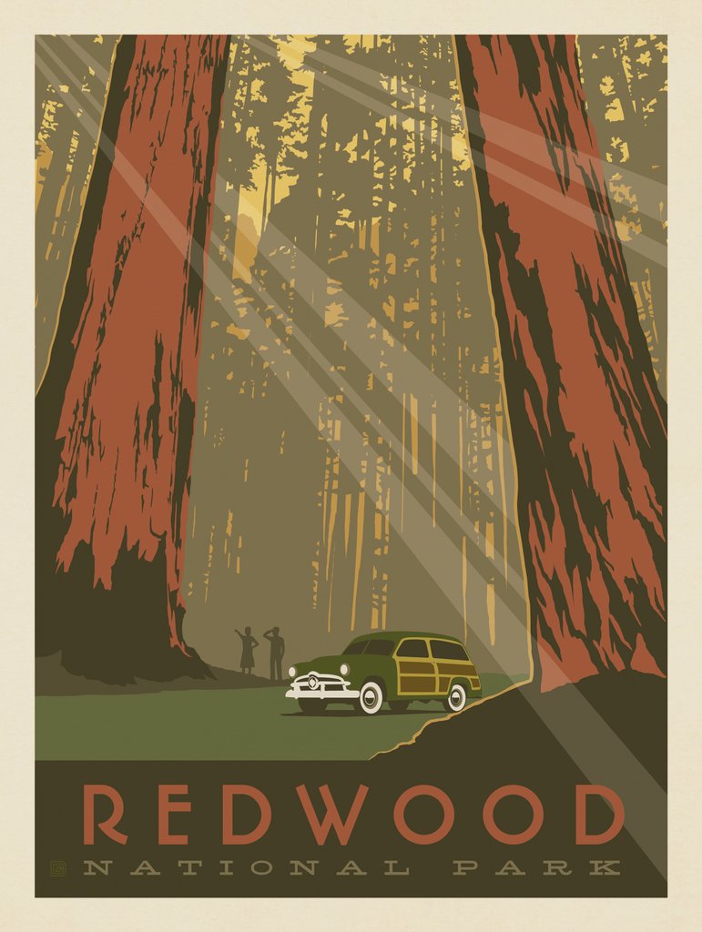 Redwood National Park - Canvas - Artwork