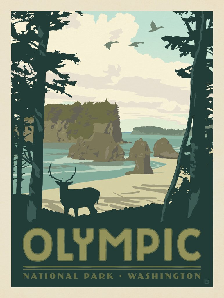 Olympic National Park - Metal Sign - Artwork