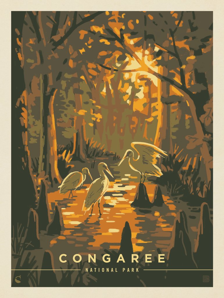 Congaree National Park: Daybreak - Metal Sign - Artwork