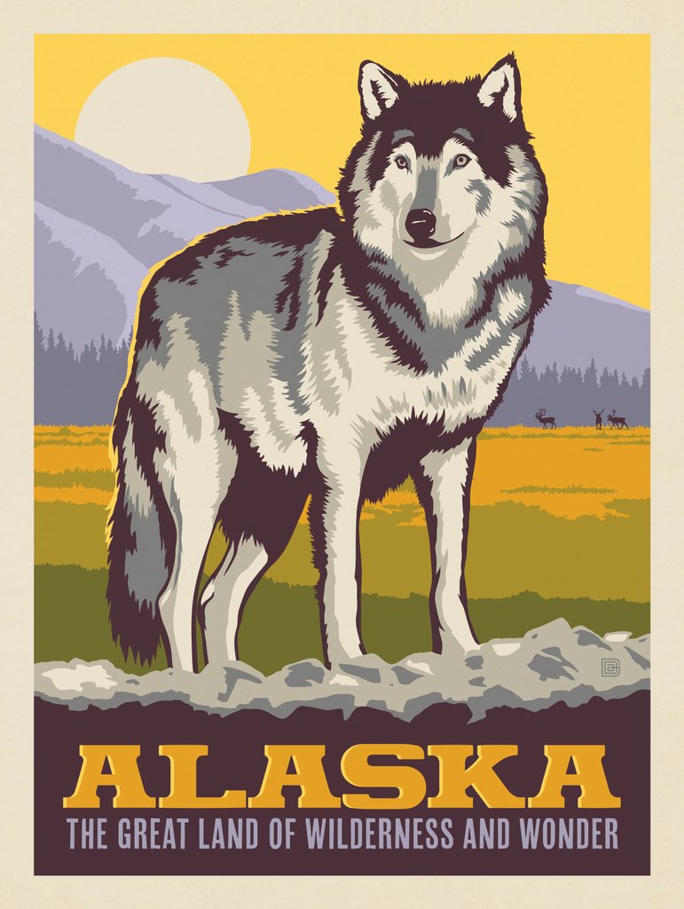 Alaska: Gray Wolf - Art Print - Artwork
