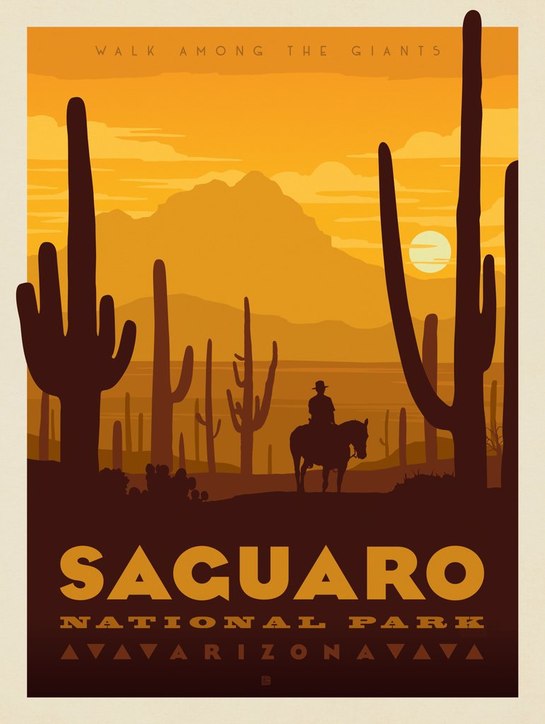 Saguaro National Park - Notecards - Artwork