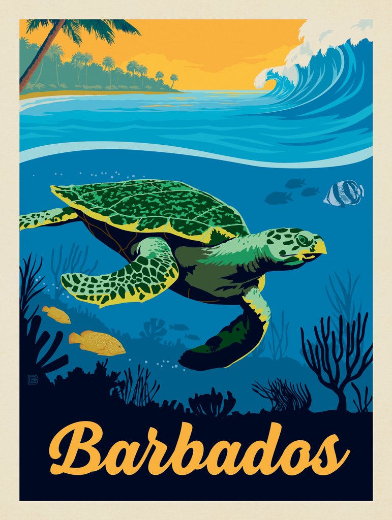 Barbados: Sea Turtle - Postcards - Artwork