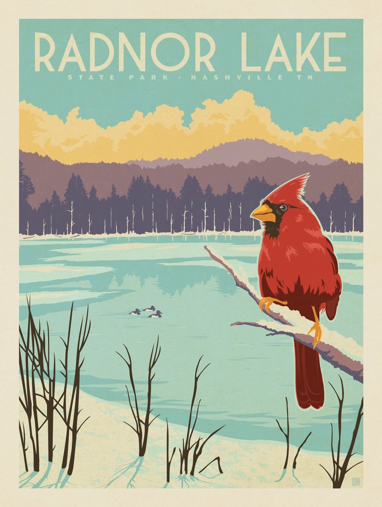 Radnor Lake: Winter - Art Print - Artwork