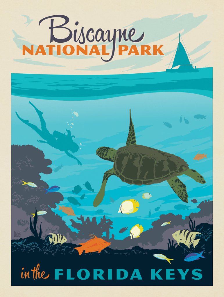 Biscayne National Park: Diver - Art Print - Artwork