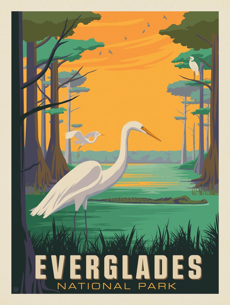 Everglades National Park: Snowy Egrets - Metal Sign - Artwork
