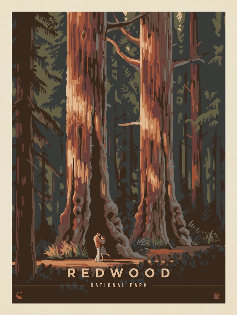 Redwood National Park: Dancing Shadows - Metal Sign - Artwork