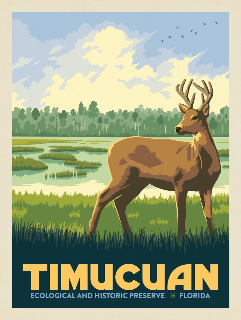 Timucuan Ecological And Historic Preserve, FL - Canvas - Artwork