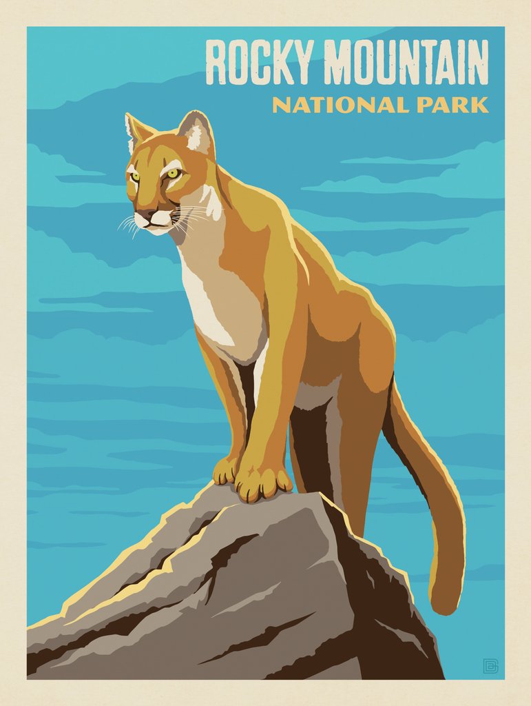Rocky Mountain National Park: Cougar - Art Print - Artwork