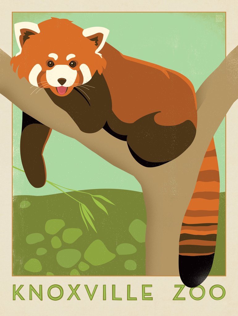 Knoxville Zoo Red Panda - Postcards - Artwork