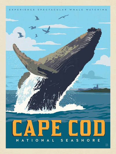 Cape Cod National Seashore - Postcards