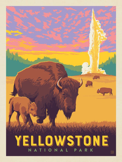 Yellowstone National Park: Old Faithful Bisons - Art Print