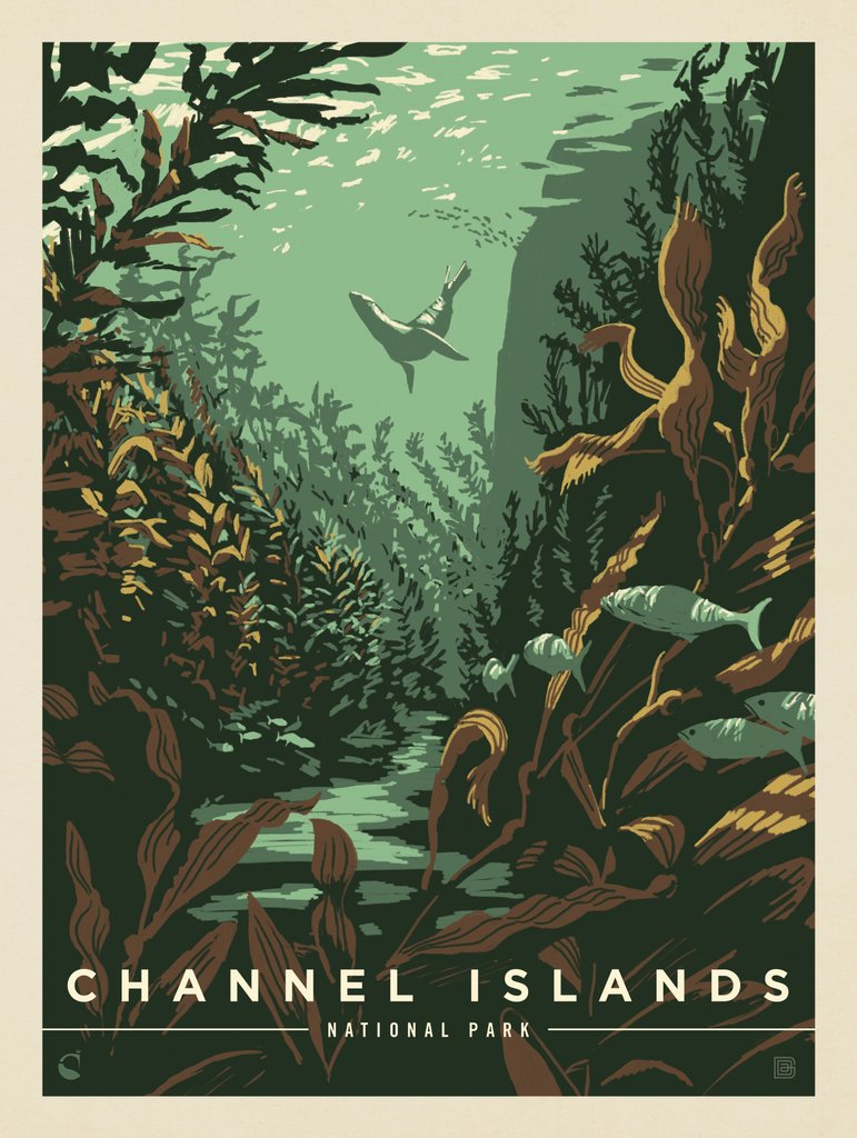 Channel Islands National Park: Sea Lion - Art Print - Artwork