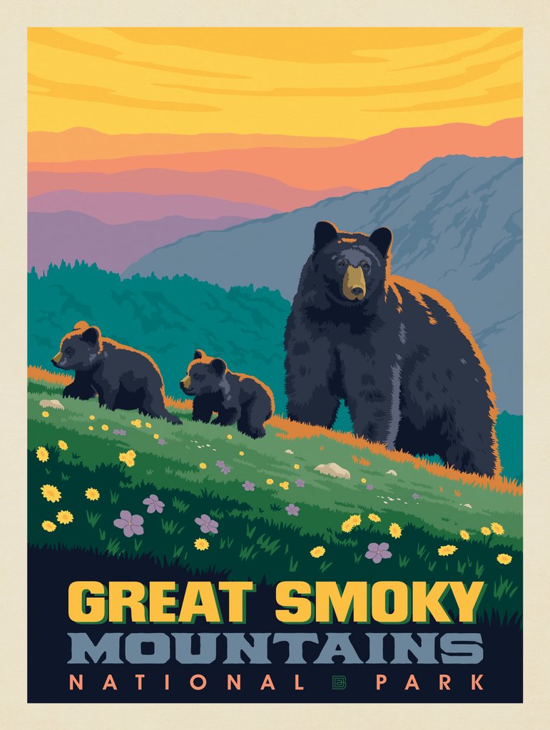 Great Smoky Mountains National Park: Romping Cubs - Notecards - Artwork