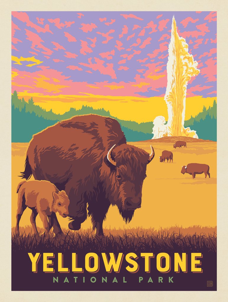 Yellowstone National Park: Old Faithful Bisons - Canvas - Artwork